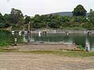 Kiessee ASG Edesheim – Fischzuchten in der Mitte des Sees