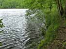 Kleiner Wummsee – Blick in den südlichen Seebereich