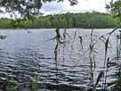 Kleiner Wummsee – Aufnahme vom Westufer des Sees