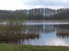 Schulzensee Zühlen – Seepanorama vom Schulzensee im April 2015