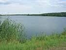 Niegripper See – Blick vom Westufer
