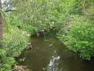 Schwentine – Brücke Rosenstraße, Blick flussaufwärts