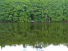 Kleiner Luhmer See