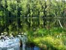 Himmelreichsee