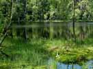 Himmelreichsee