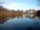 Steinbachtalsperre, Vorstau – Blick vom Südufer Richtung Waldfreibad