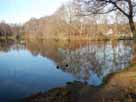 Steinbachtalsperre, Vorstau – Blick vom östlichen Ufer
