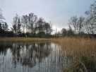 Mühlenteich Dorf Zechlin