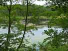 Großer Stadtsee – Blick vom Südufer