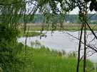 Großer Stadtsee – Blick vom Südufer in den westlichen Seebereich