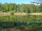 Lindsee – Blick vom Südufer des Sees