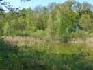 Lindsee – Blick in den westlichen Seebereich