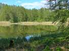 Lindsee – Blick in den östlichen Seebereich