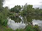 Sumpfsee (Rechlin) – Uferangelstelle gegenüber Baumhauscamp