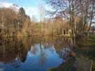 Weiher Kirchheim – nördlicher Bereich des Weihers