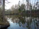 Weiher Kirchheim – Blick in den südlichen Bereich des Weihers