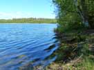 Großer Lankesee – Blick entlang des Südufers Richtung Osten