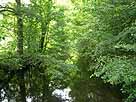 Schiwastrom – Blick von der Brücke L421 flussaufwärts