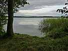Gudelacksee – Uferangelstelle am Nordufer