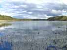 Werbellinsee – Seepanorama vom Westufer des Sees