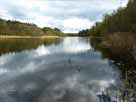 Werbellinsee – nördlicher Seebereich, Blick entlang des Westufers