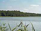 Werbellinsee – Werbellinsee im Sommer 2007