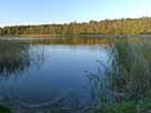 Werbellinsee – Seepanorama an der Herzberger Badestelle