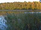 Werbellinsee – Höhe Herzberger Badestelle, Blick zum Nordufer