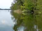 Molchowsee – Blick von Süden auf das Ostufer