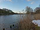 Tetzensee – Blick aus Süden Höhe Molchow