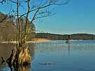 Zermützelsee – Höhe Mündung Rottstielfließ