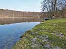 Tornowsee – Blick in den östlichen Seebereich