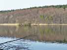 Tornowsee – Blick vom Südufer Richtung Insel