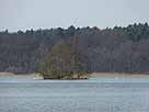 Tornowsee – Blick auf die kleine Insel im südöstlichen Seebereich