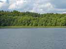 Tornowsee – Uferbereich mit ausgedehnten Schilfzonen