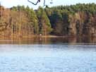 Kalksee – Blick auf die Badestelle im südlichen Seebereich