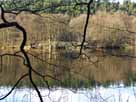 Kalksee – Blick aus südlicher Richtung auf die Halbinsel