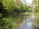 Teichanlage Altenberg – Blick vom Ostufer über Teich 1