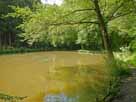 Teichanlage Altenberg – Teich 4, Blick Richtung Überlauf