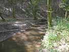 Scherfbach