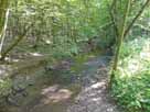 Scherfbach (Odenthal) – Blick von der Steinbrücke oberh. Sportplatz