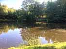 Angelweiher Beuren – Blick auf die Inseln