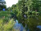 Rhin – Blick Richtung Wehr Hakenberg