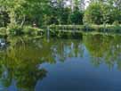 Rhin – Rhin an der Gabelung vor der Schleuse Hakenberg