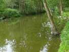 Elde