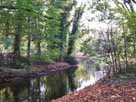 Panke – die Panke im Bürgerpark von Berlin-Pankow