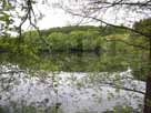 Beverteich