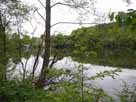 Beverteich