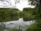 Beverteich