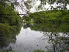 Beverteich